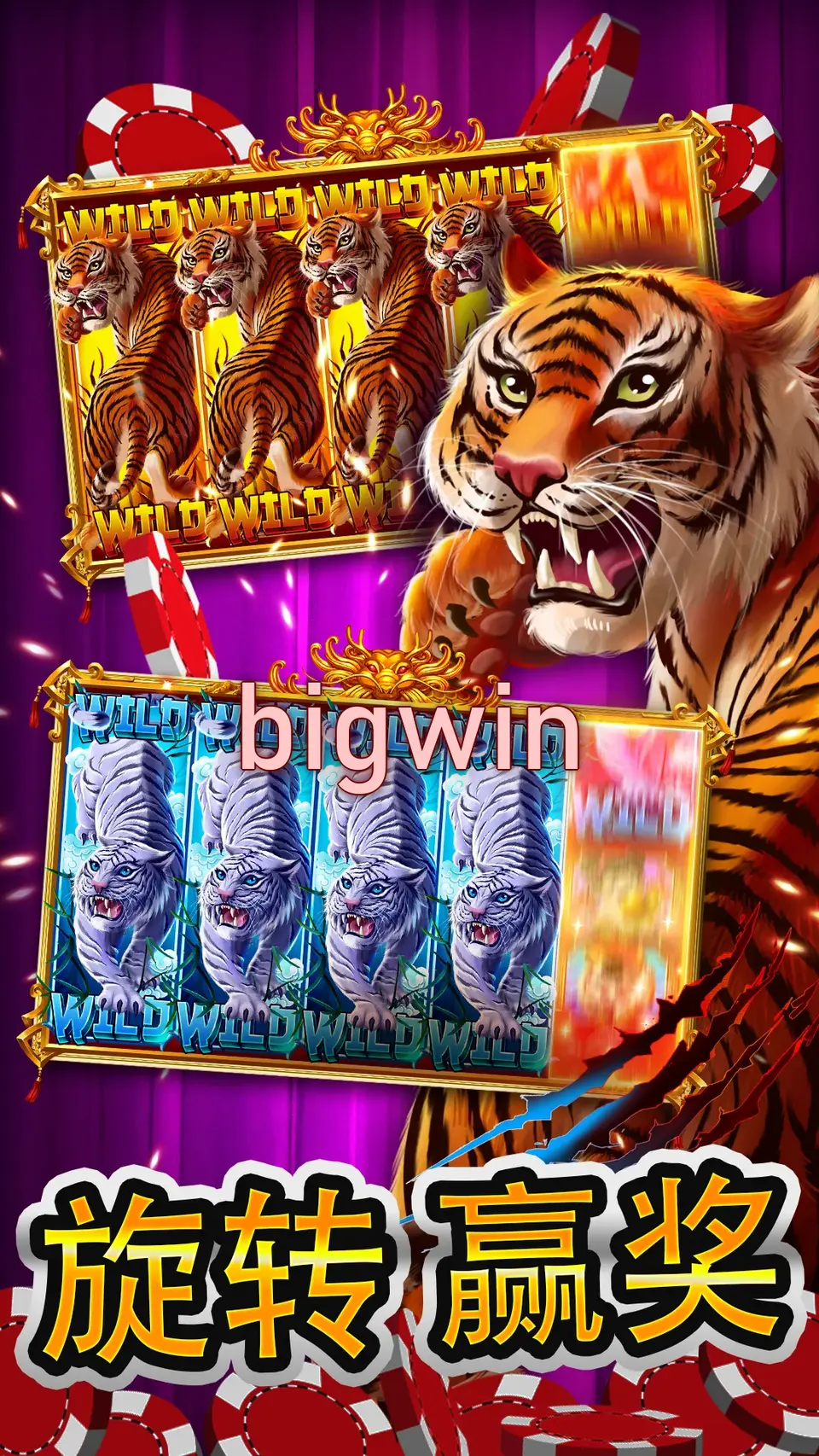 bigwin Preview - Resmi Unduh